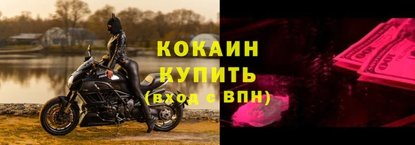 крисы Новокубанск