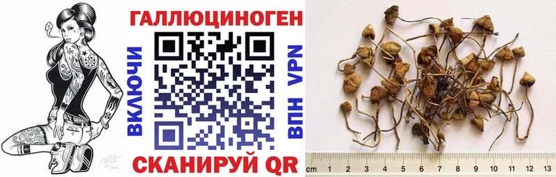 Псилоцибиновые грибы Magic Shrooms  Октябрьский 