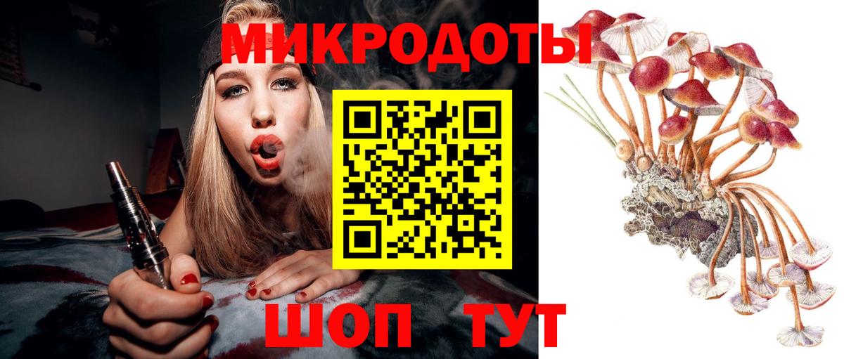 Псилоцибиновые грибы мухоморы Октябрьский